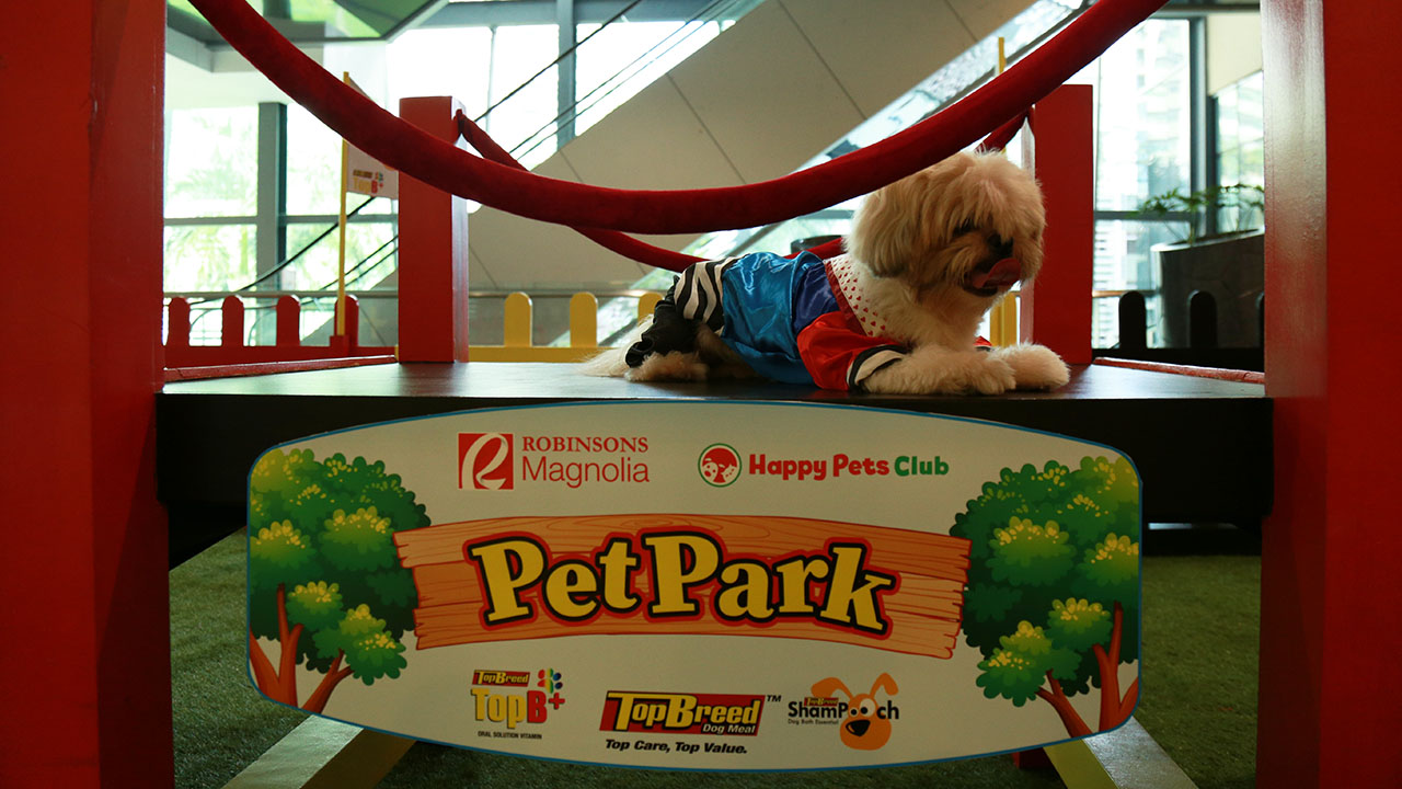 Robinsons Malls’ First Indoor Pet Park Opens at Robin... JG Summit Holdings, Inc.